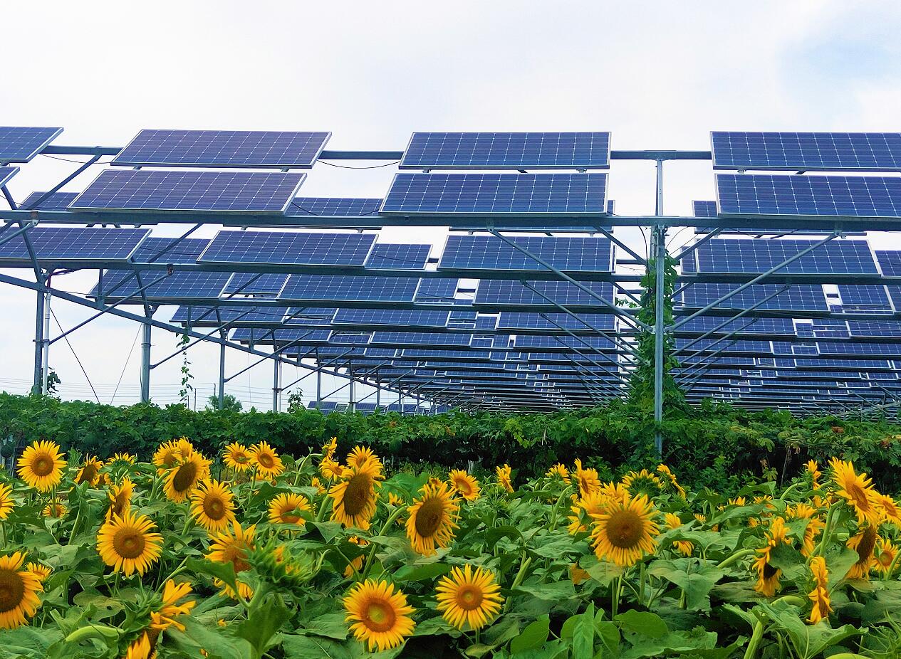 中国·永利集团(304am-VIP认证)官网-Official Platform