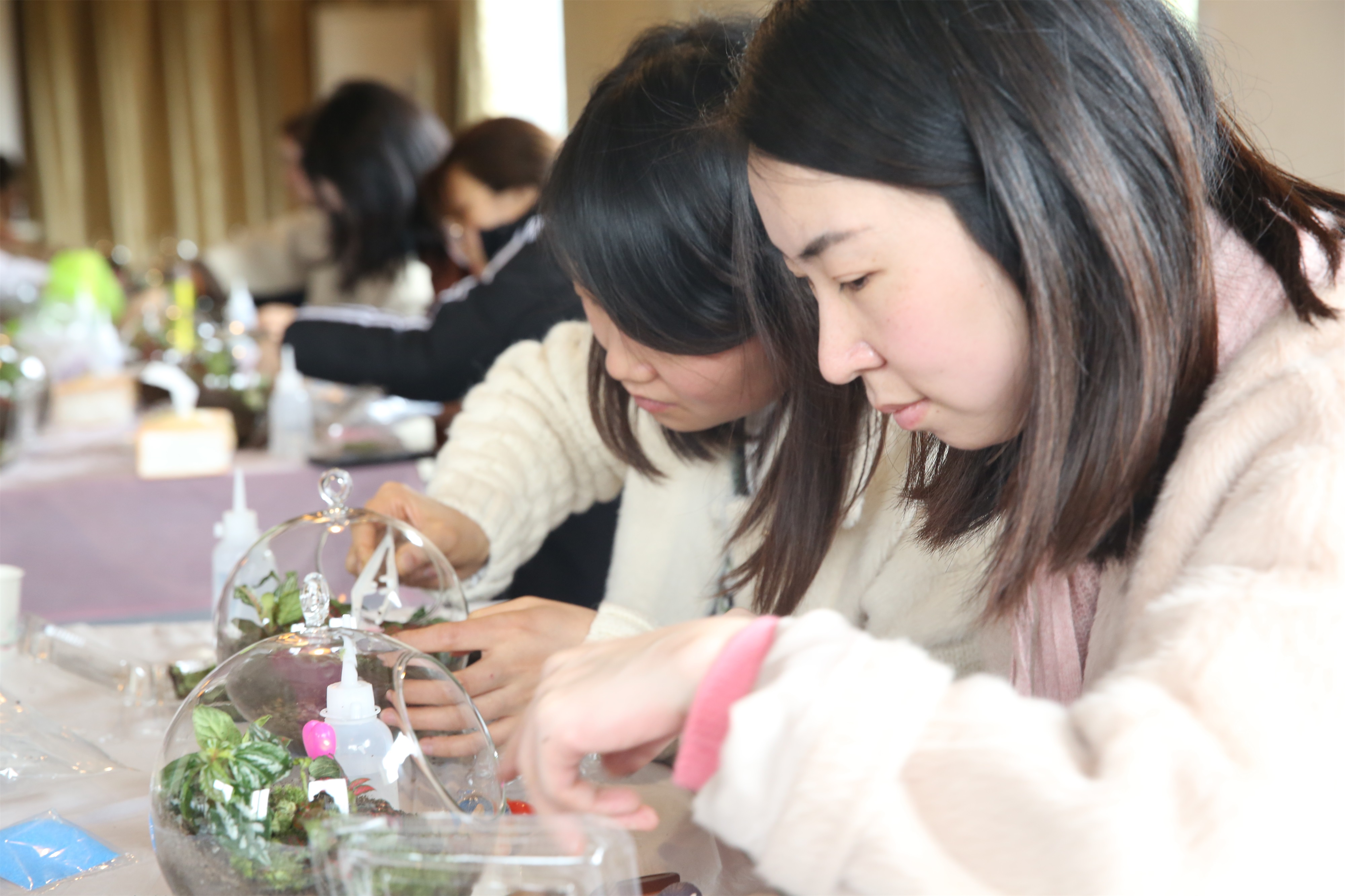 �й�����������(304am-VIP��֤)����-Official Platform