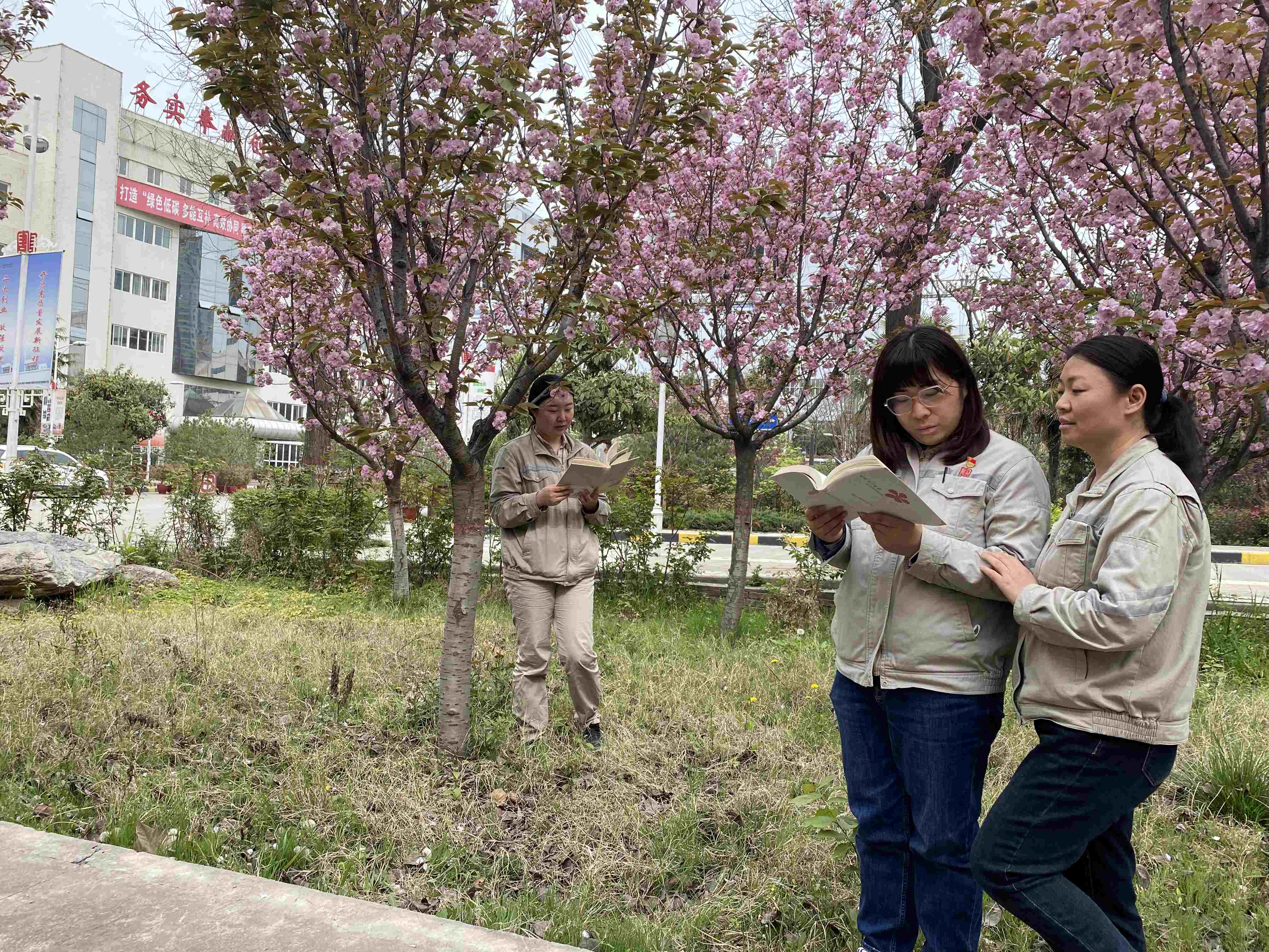 Öйú¡¤ÓÀÀû¼¯ÍÅ(304am-VIPÈÏÖ¤)¹ÙÍø-Official Platform