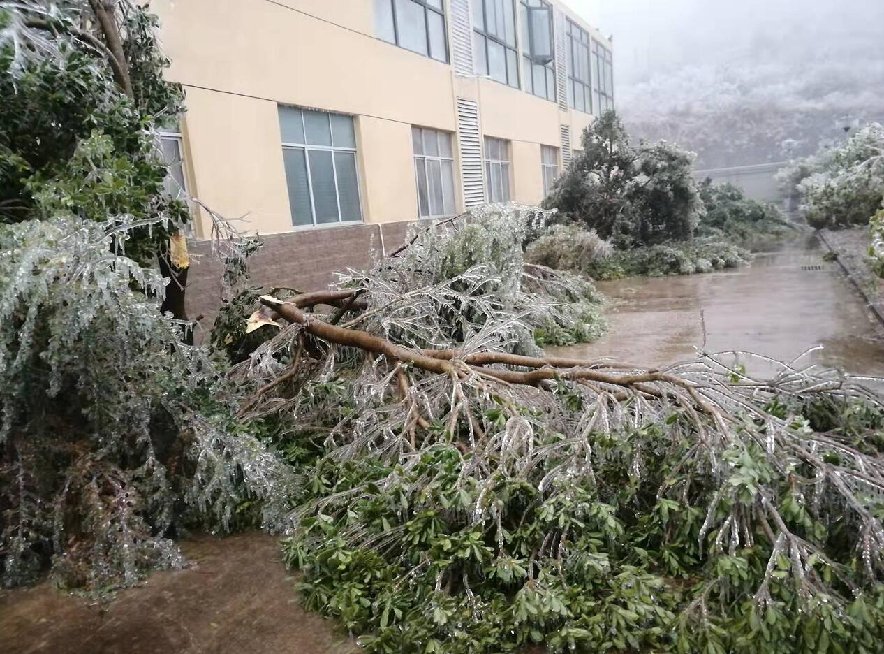 Öйú¡¤ÓÀÀû¼¯ÍÅ(304am-VIPÈÏÖ¤)¹ÙÍø-Official Platform