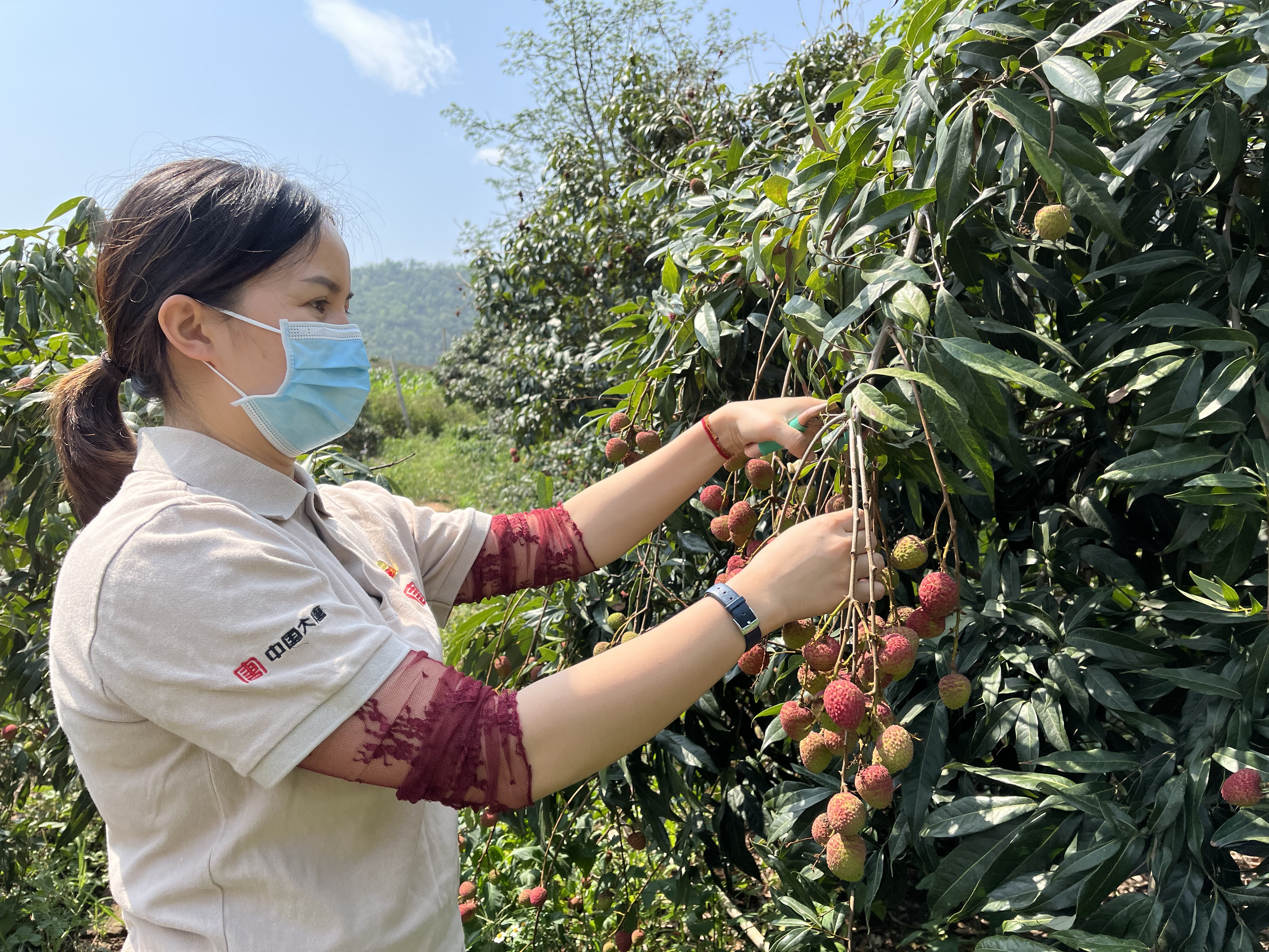 �й�����������(304am-VIP��֤)����-Official Platform