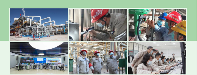 �й�����������(304am-VIP��֤)����-Official Platform