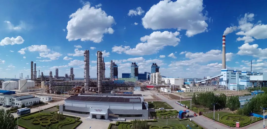 �й�����������(304am-VIP��֤)����-Official Platform