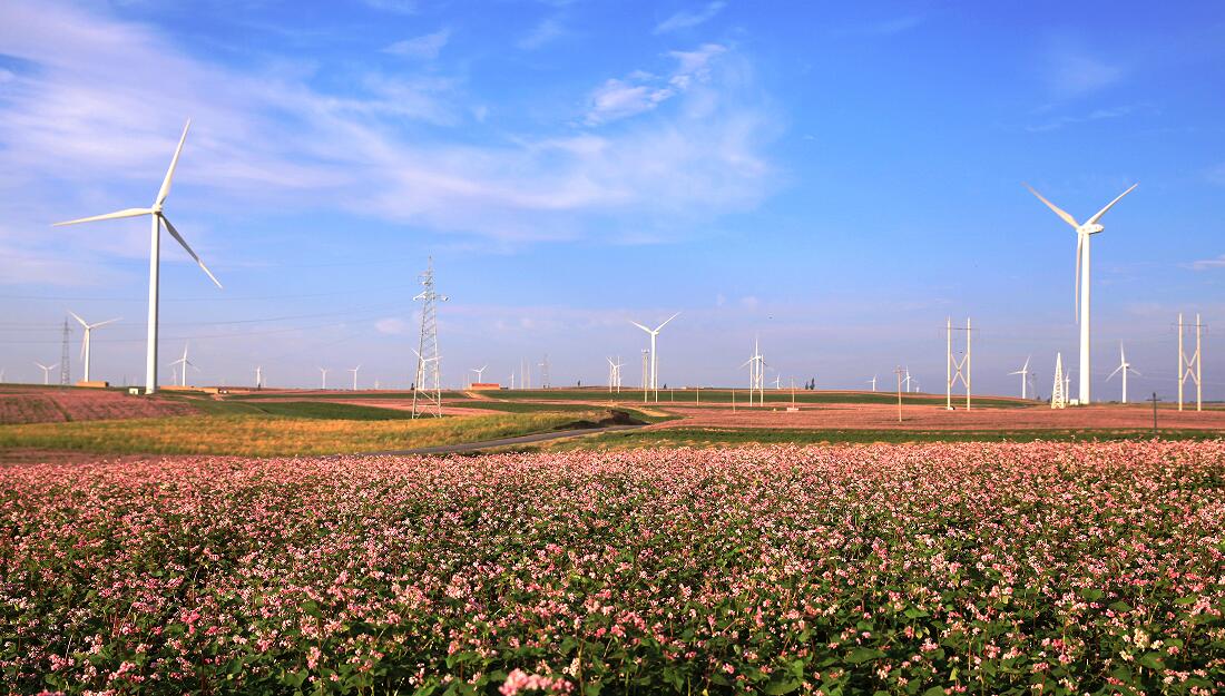 й(304am-VIP֤)-Official Platform