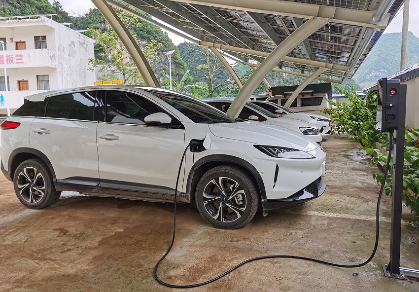 й(304am-VIP֤)-Official Platform