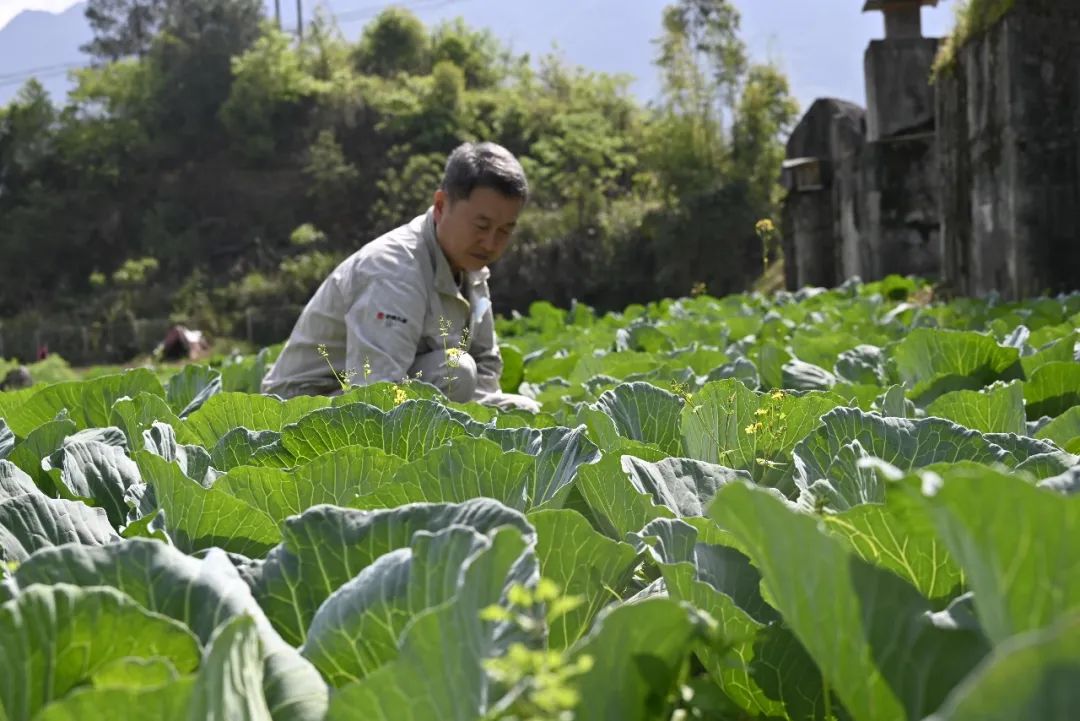 Öйú¡¤ÓÀÀû¼¯ÍÅ(304am-VIPÈÏÖ¤)¹ÙÍø-Official Platform