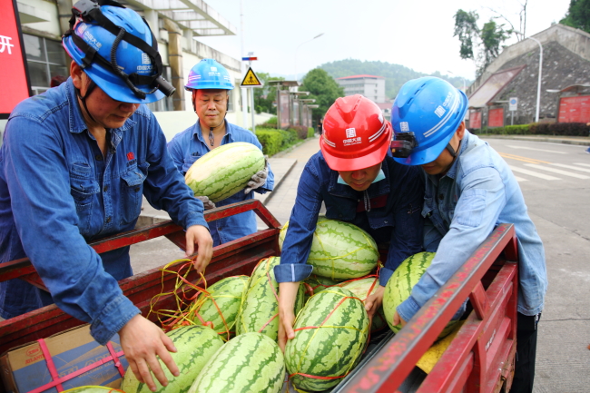 �й�����������(304am-VIP��֤)����-Official Platform