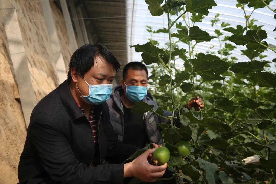 中国·永利集团(304am-VIP认证)官网-Official Platform