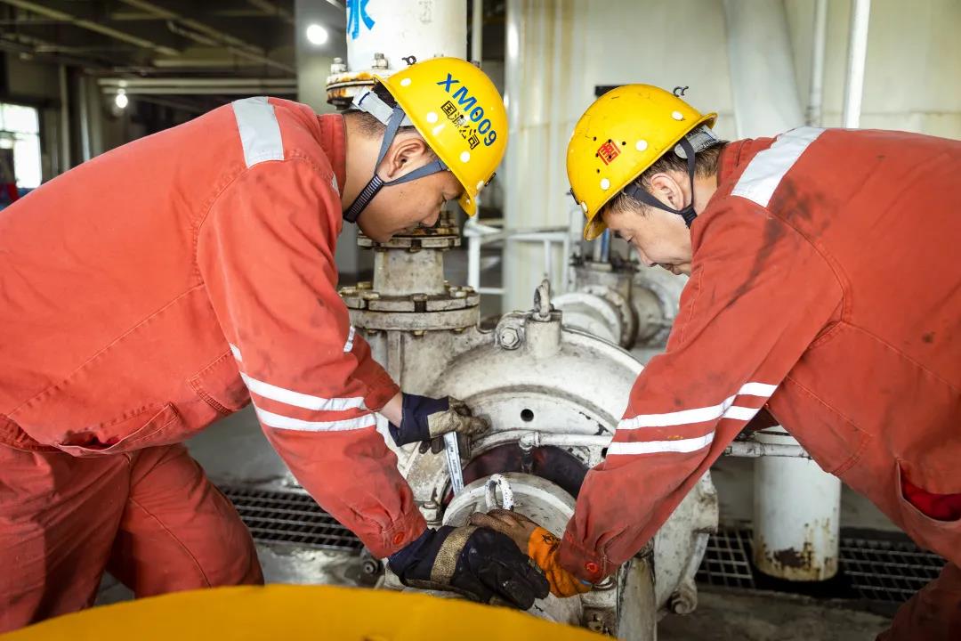 �й�����������(304am-VIP��֤)����-Official Platform