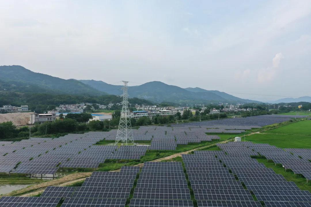 �й�����������(304am-VIP��֤)����-Official Platform