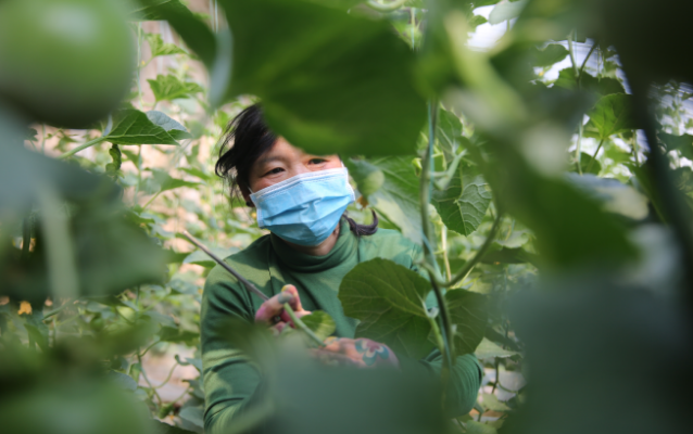 1666919166410022453.png 微信截图_20221028090531.png