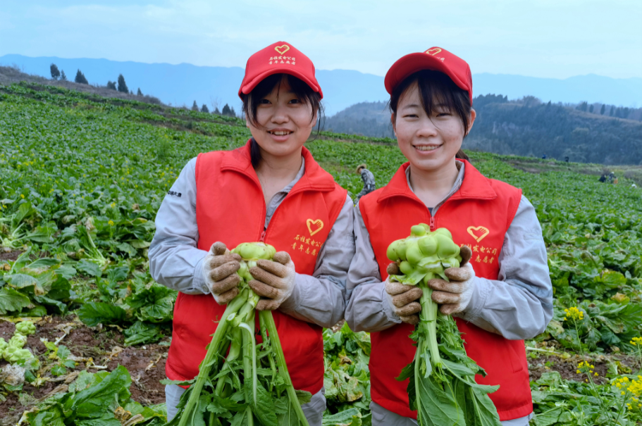 ʯ�����繫˾ .png