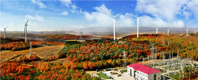 1721784682578065084.png 7.png