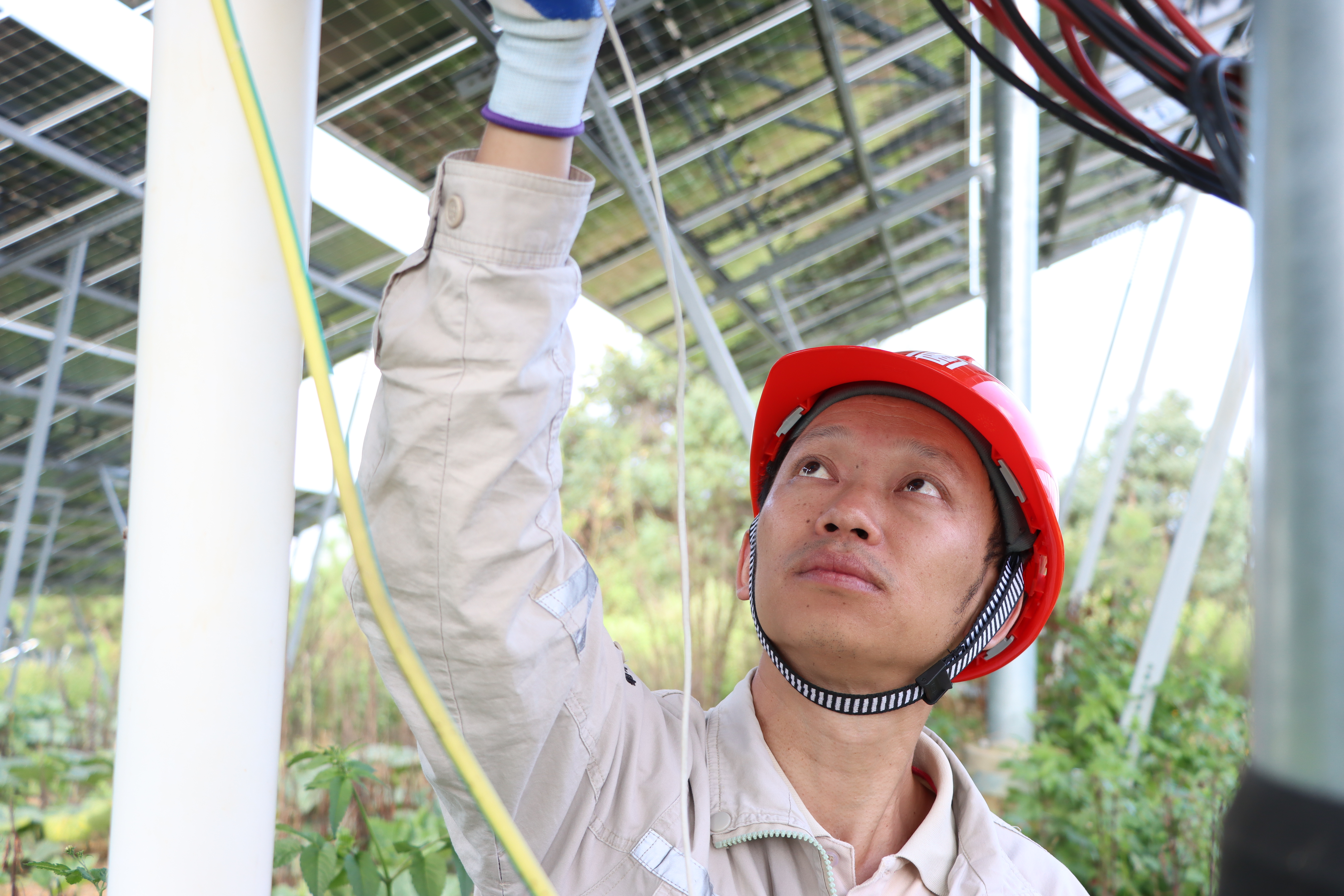 1729490883763015059.jpg 【斗争的304永利集团唯一人】滇西新能源事业部:场站的精彩管理者 (2).jpg