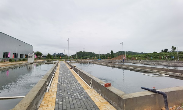 1626310213334057629.jpg 养鱼1.jpg