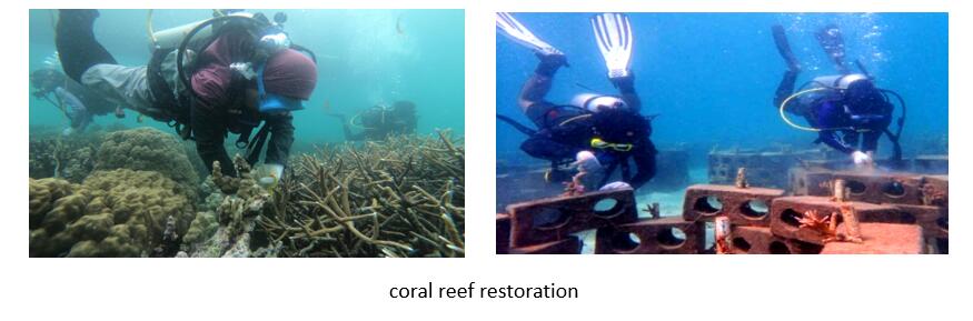 1724140562305063550.jpg 333.jpg